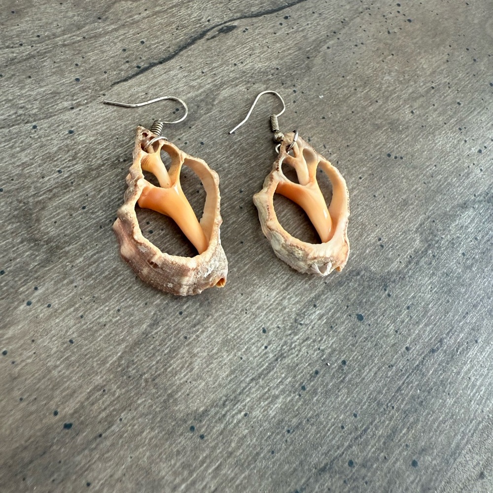 Natural Shell Earrings - Picture 3 of 3